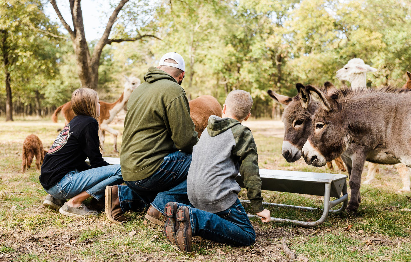 Arms Family feeding donkeys